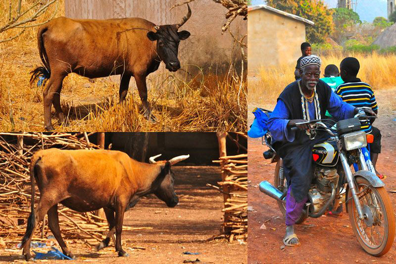Guinea Conakry